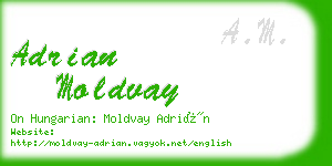 adrian moldvay business card